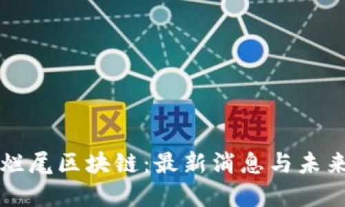 揭秘烂尾区块链:最新消息与未来展望