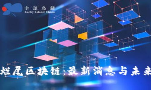 揭秘烂尾区块链:最新消息与未来展望