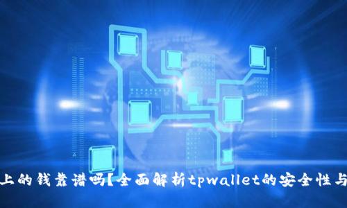 tpwallet上的钱靠谱吗？全面解析tpwallet的安全性与使用风险
