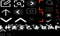 如何在TPWallet中查看币种是否已去锁池？详细指南