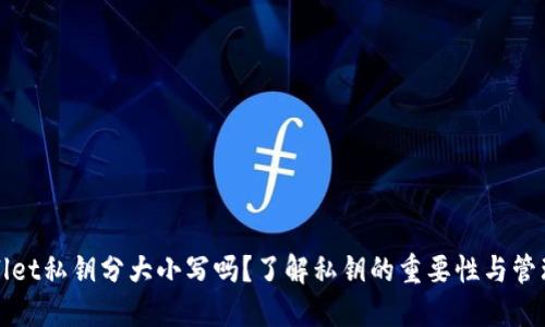 TPWallet私钥分大小写吗？了解私钥的重要性与管理技巧