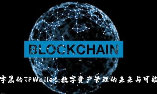 孙宇晨的TPWallet：数字资产管理的未来与可能性