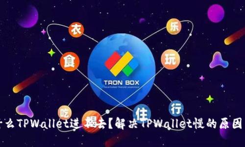 : 为什么TPWallet进不去？解决TPWallet慢的原因与对策