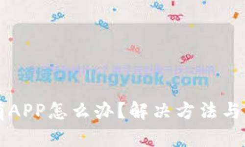 TPWallet没有APP怎么办？解决方法与替代方案详解