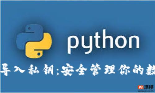 TP钱包导入私钥：安全管理你的数字资产