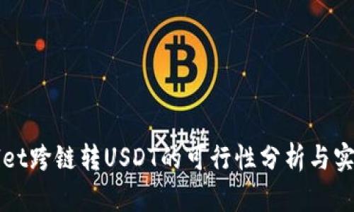 TPWallet跨链转USDT的可行性分析与实践指南