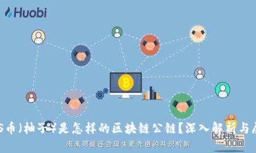 EOS币（柚子）是怎样的区块链公链？深入解析与展望