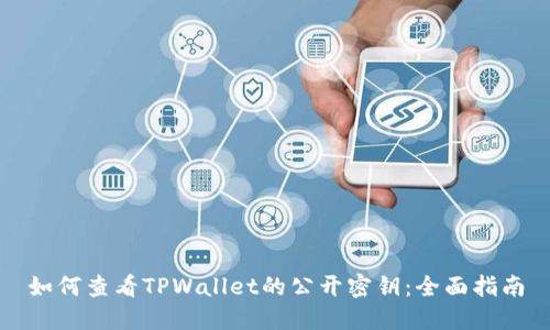 如何查看TPWallet的公开密钥：全面指南