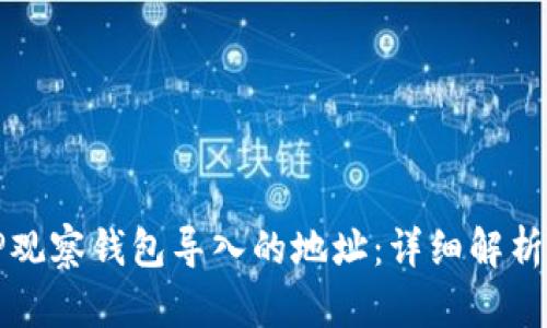 如何查看TP观察钱包导入的地址：详细解析与使用指南