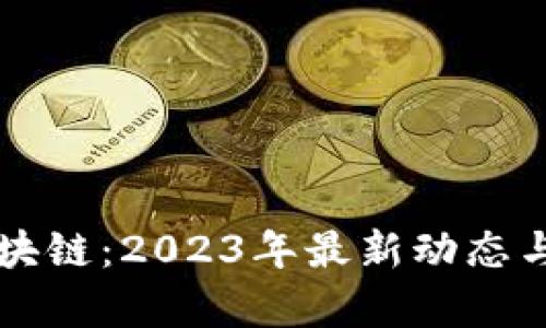 王小云区块链：2023年最新动态与趋势分析