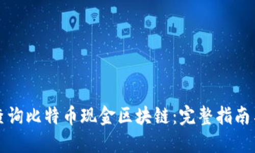 如何高效查询比特币现金区块链：完整指南与实践技巧
