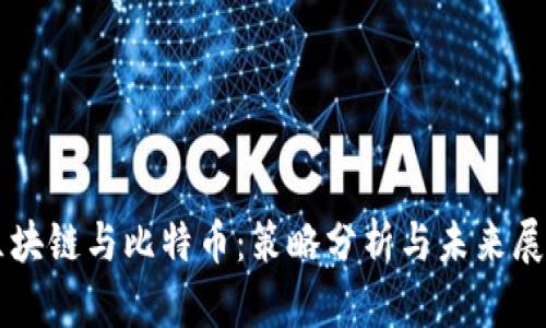区块链与比特币：策略分析与未来展望