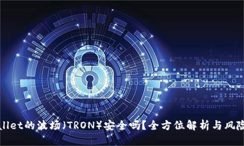 TPWallet的波场（TRON）安全吗？全方位解析与风险评估