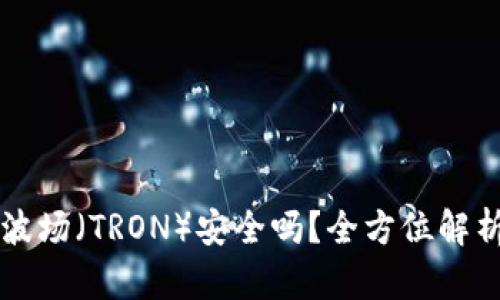 TPWallet的波场（TRON）安全吗？全方位解析与风险评估