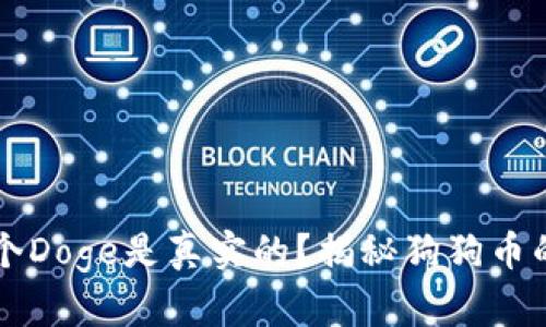 TPWallet中哪个Doge是真实的？揭秘狗狗币的真伪识别技巧