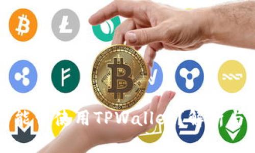 大陆用户能否使用TPWallet？解析与使用指南
