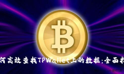 如何高效查找TPWallet上的数据：全面指南