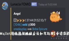 TPWallet转账转错地址后该如何处理？全方位指南