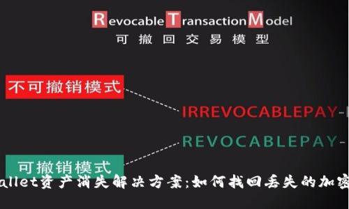 TPWallet资产消失解决方案：如何找回丢失的加密货币