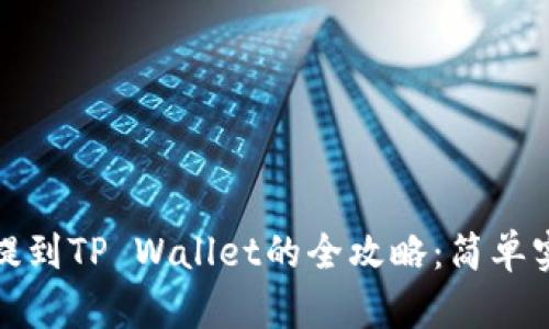 抹茶币提到TP Wallet的全攻略：简单实用指南