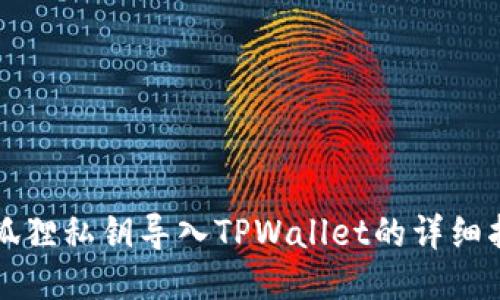 小狐狸私钥导入TPWallet的详细指南