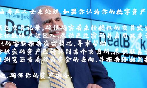 抱歉，你的资金安全问题最好是由专业人士来处理。如果你认为你的数字资产被盗，建议你立即采取以下步骤：

1. **确认盗窃** - 查看你的钱包交易记录，确保确实有未经授权的交易发生。
2. **更改账户密码** - 如果你怀疑账户被侵入，尽快更改密码并启用双重认证（2FA）。
3. **联系客服** - 向TPWallet的客服报告盗窃情况，寻求帮助。
4. **报告给交易所** - 如果你被盗的资产已转移到某个交易所，尽快联系该交易所的客服。
5. **追踪资金** - 使用区块链浏览器查看被盗资金的去向，并报告给相关执法机构。

保持警惕，定期检查你的安全措施，确保你的资产安全。