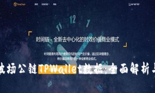 如何查看波场公链TPWallet数据：全面解析与实用技巧