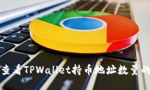 便捷查看TPWallet持币地址数量的方法