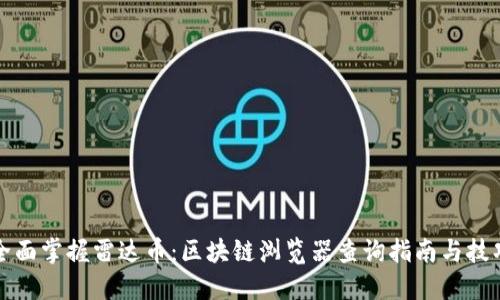 全面掌握雷达币：区块链浏览器查询指南与技巧
