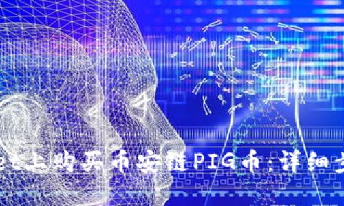 如何在TPWallet上购买币安链PIG币：详细步骤与实用指南