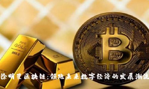 徐明星区块链：领跑未来数字经济的发展潮流
