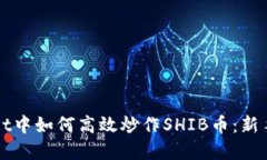 在TPWallet中如何高效炒作SHIB币：新手必备指南