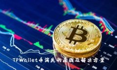 TPWallet币消失的原因及解决方案