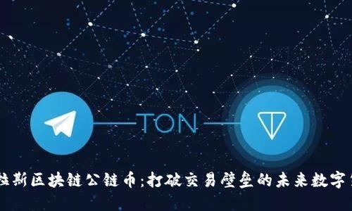 维拉斯区块链公链币：打破交易壁垒的未来数字货币