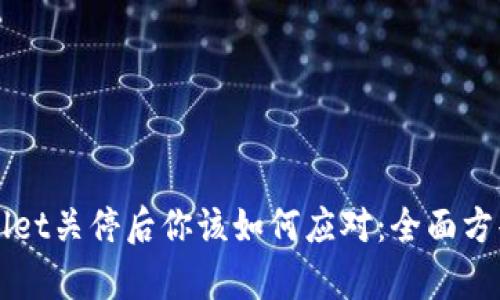 TPWallet关停后你该如何应对：全面方案解析