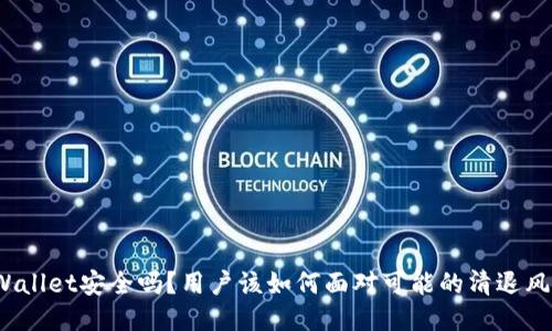 TPWallet安全吗？用户该如何面对可能的清退风险？