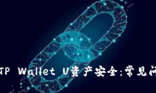 如何确保您的TP Wallet U资产安全：常见问题与解决方案