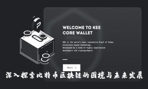深入探索比特币区块链的困境与未来发展