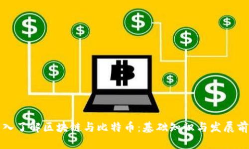 深入了解区块链与比特币：基础知识与发展前景