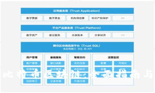 如何下载比特币区块链：全面指南与实用技巧