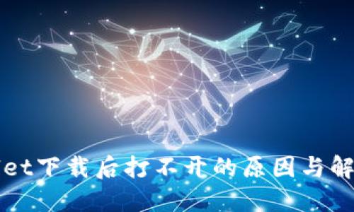 TPWallet下载后打不开的原因与解决方案