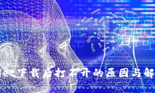 TPWallet下载后打不开的原因与解决方案