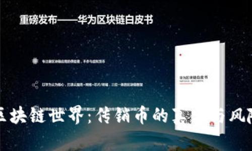 揭秘区块链世界：传销币的真相与风险分析