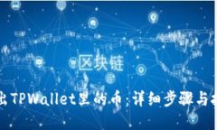 轻松转出TPWallet里的币：详细步骤与技巧一览