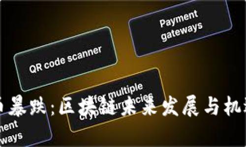 比特币暴跌：区块链未来发展与机遇分析