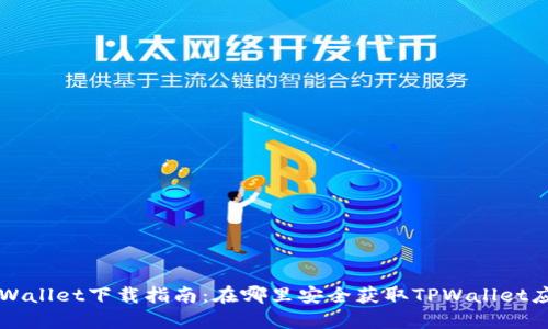TPWallet下载指南：在哪里安全获取TPWallet应用