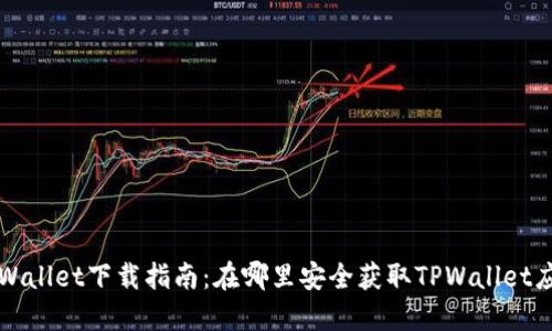 TPWallet下载指南：在哪里安全获取TPWallet应用