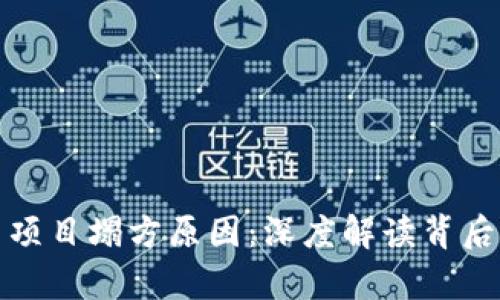 探析区块链币项目塌方原因：深度解读背后的风险与挑战