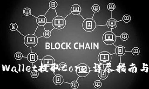 如何在TPWallet提取Core：详尽指南与注意事项