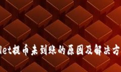 TPWallet提币未到账的原因及解决方法详解